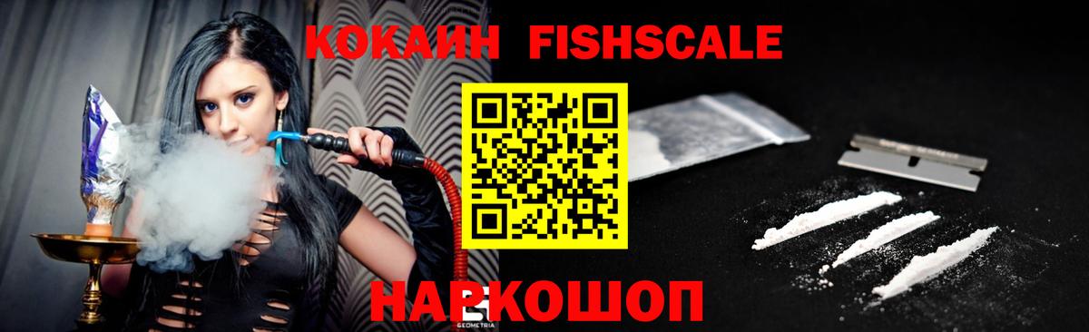 Cocaine Fish Scale  Вход с VPN  Малоярославец 