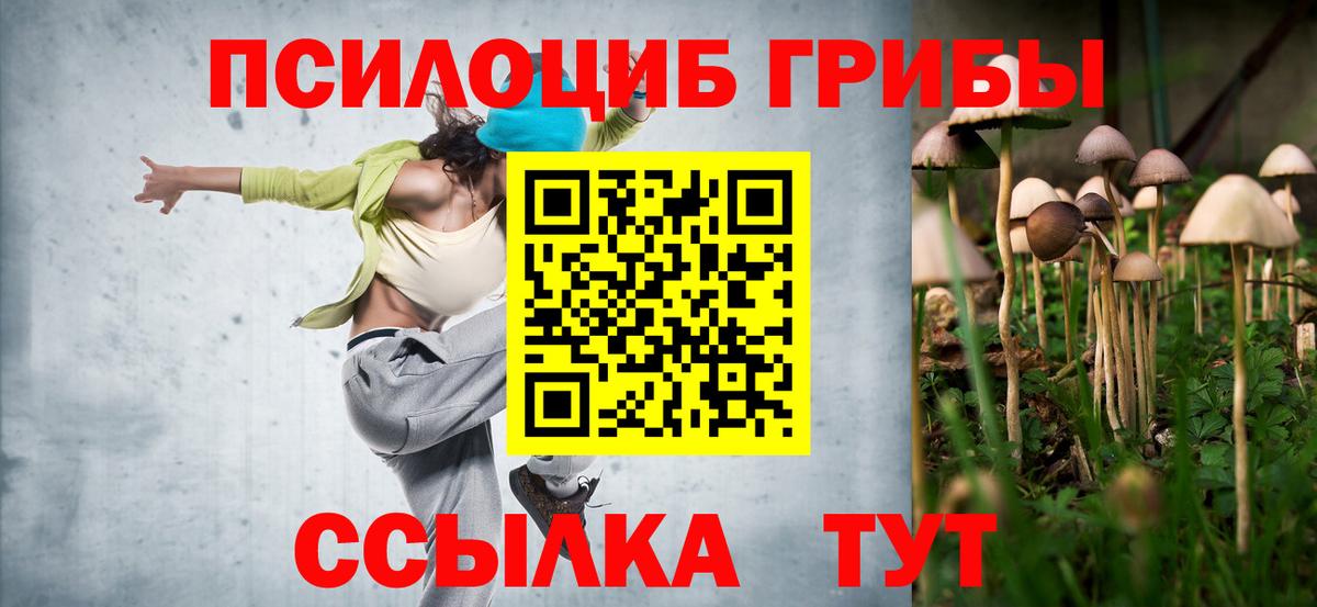 Галлюциногенные грибы мицелий  Вход с VPN  Малоярославец 