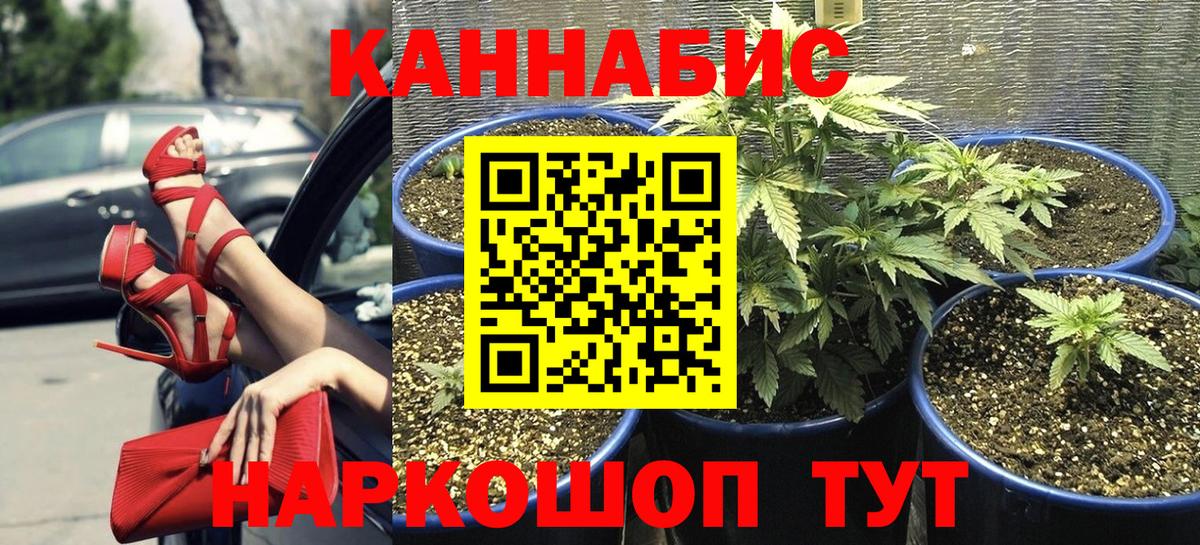 МАРИХУАНА планчик Малоярославец